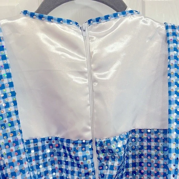 Dorothy Wizard of Oz dress size large - Picture 10 of 11